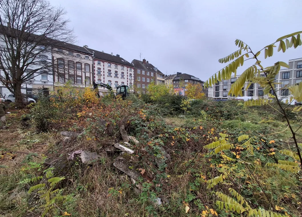 Proj. - Großflächenpflege