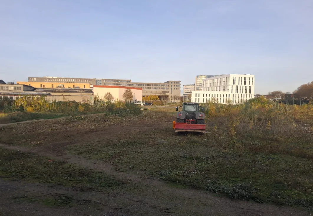 Proj. - Großflächenpflege